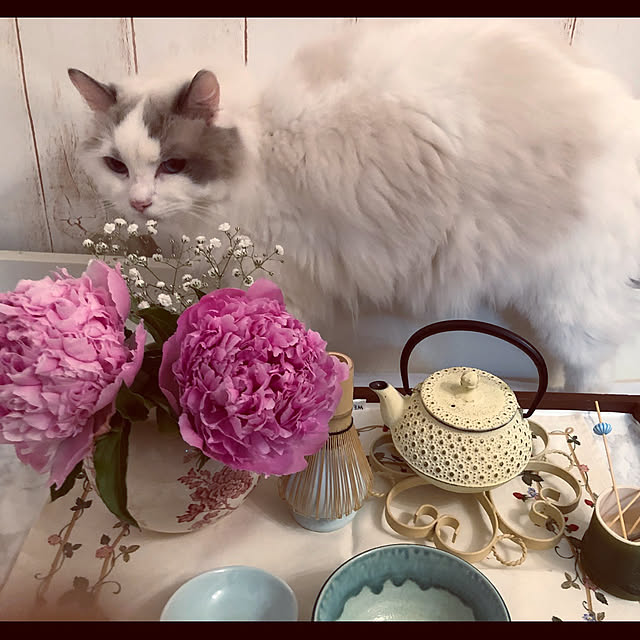 Moncheriさんの実例写真