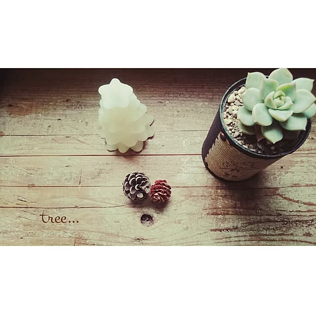 snowさんの実例写真