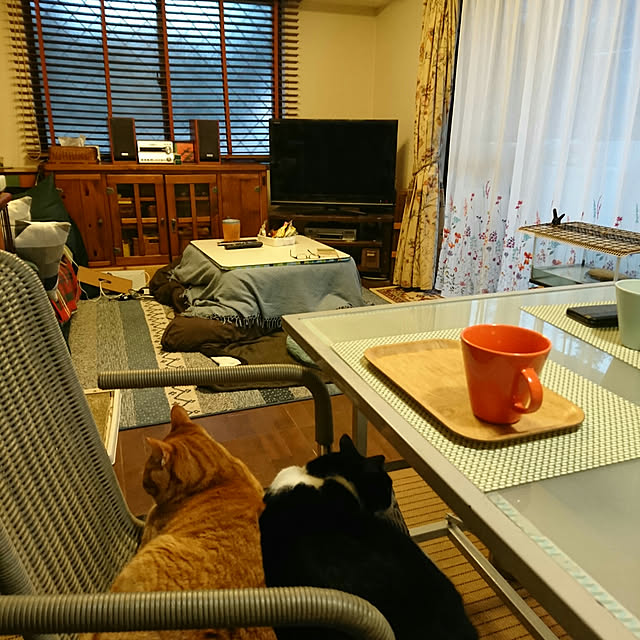 okyosan101さんの実例写真