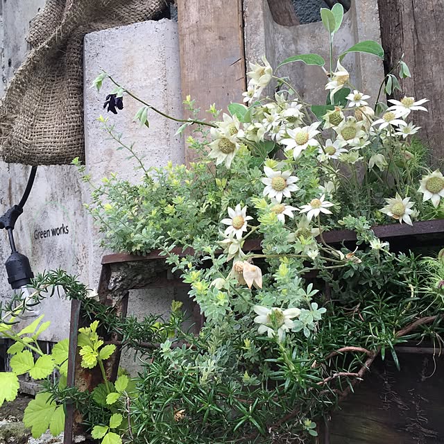 GreenWorksさんの実例写真
