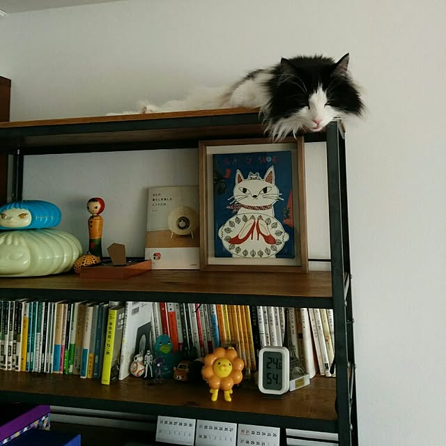 Chikaraさんの実例写真