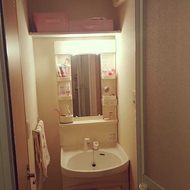 rviさんの実例写真