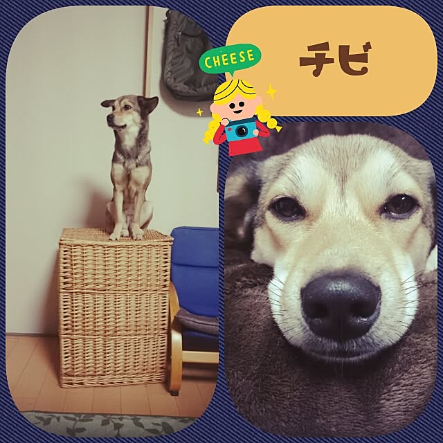 andさんの実例写真