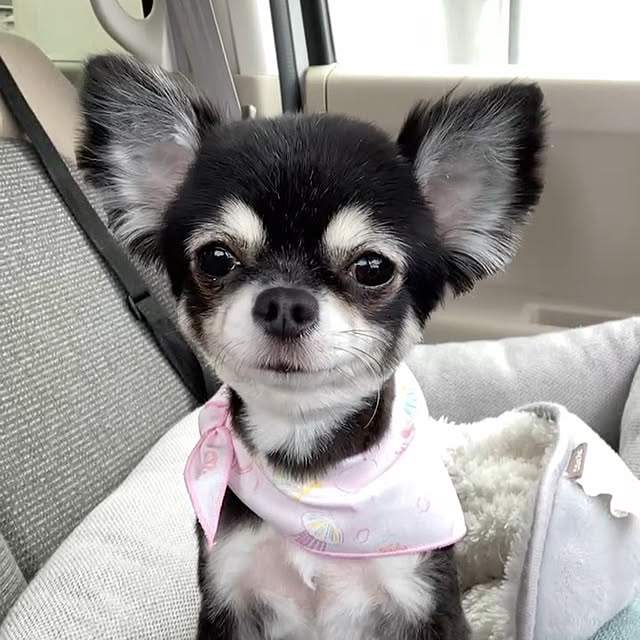 koroさんの実例写真