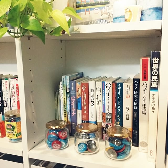 rurinosukeさんの実例写真