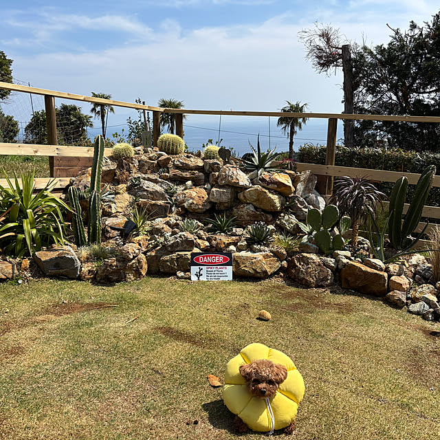 bonber0212さんの実例写真