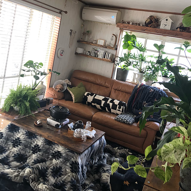 RURULOVEさんの実例写真
