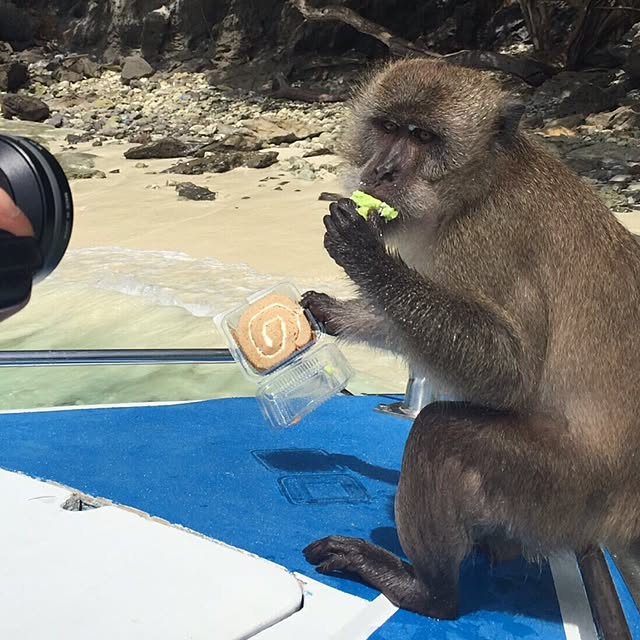 実例写真