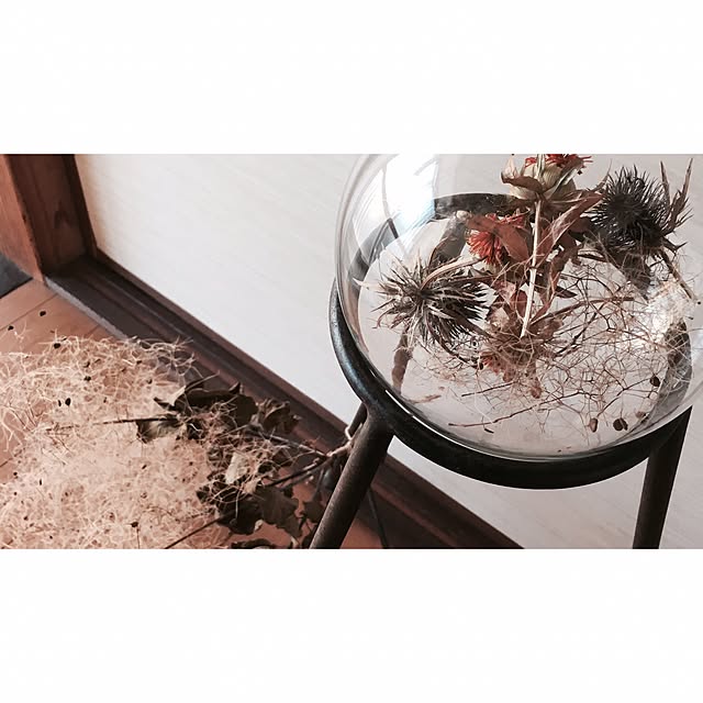 shio.mameさんの実例写真