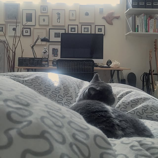 mohayaeteさんの実例写真