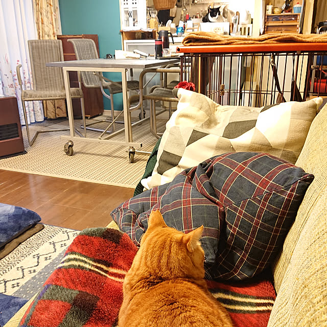okyosan101さんの実例写真