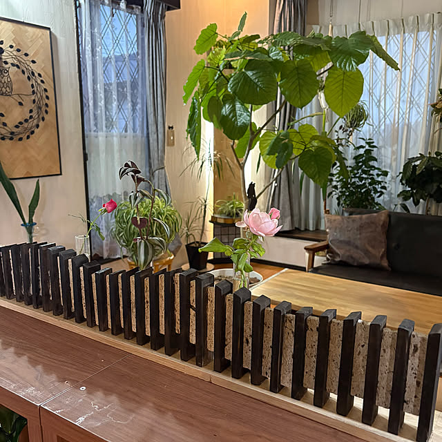 kazutomoさんの部屋