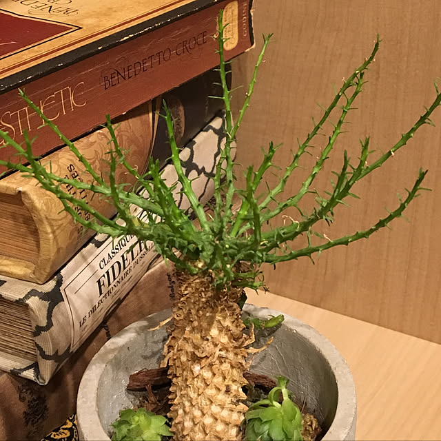 y.yoshimi4437さんの実例写真