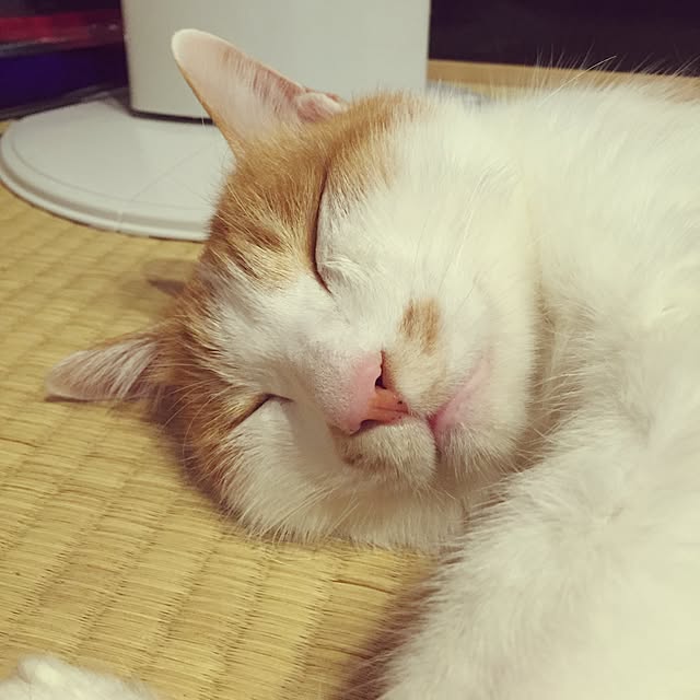 LEMONさんの実例写真