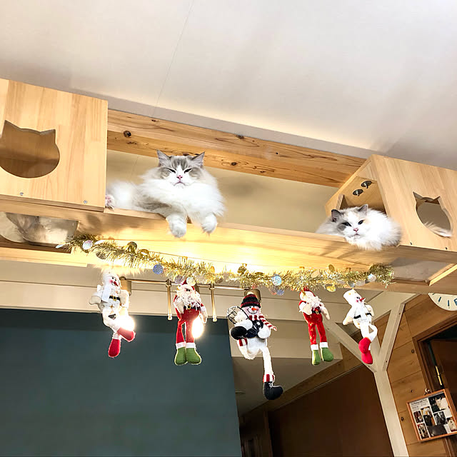 makkunさんの実例写真