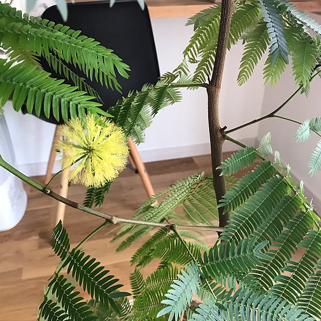 MiRiderさんの実例写真