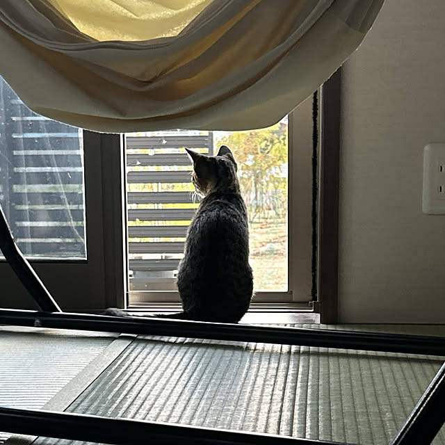 yunyumさんの部屋