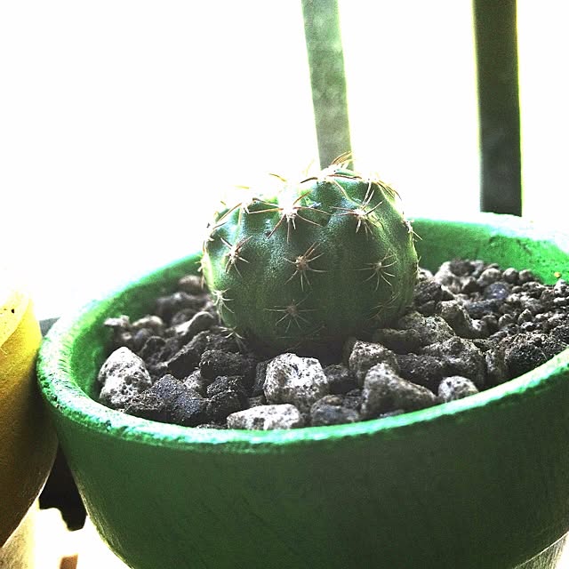 L.さんの実例写真