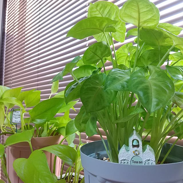 meiさんの部屋