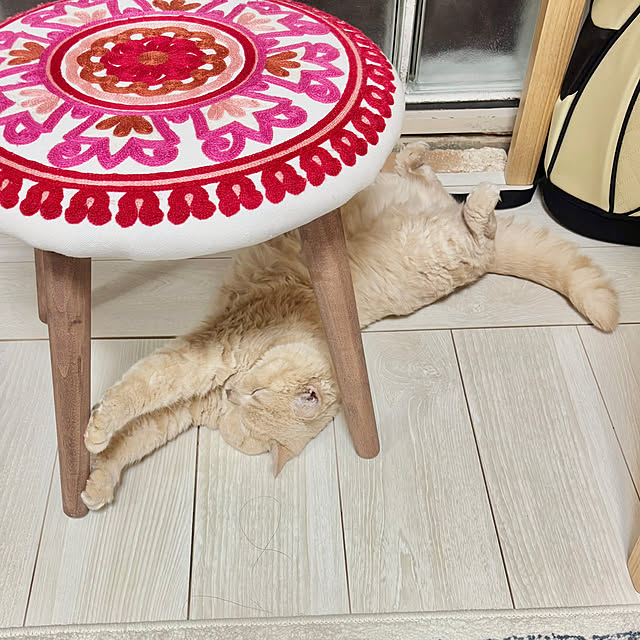 naokoさんの部屋