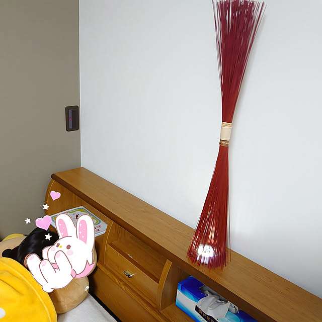 kiyoさんの実例写真