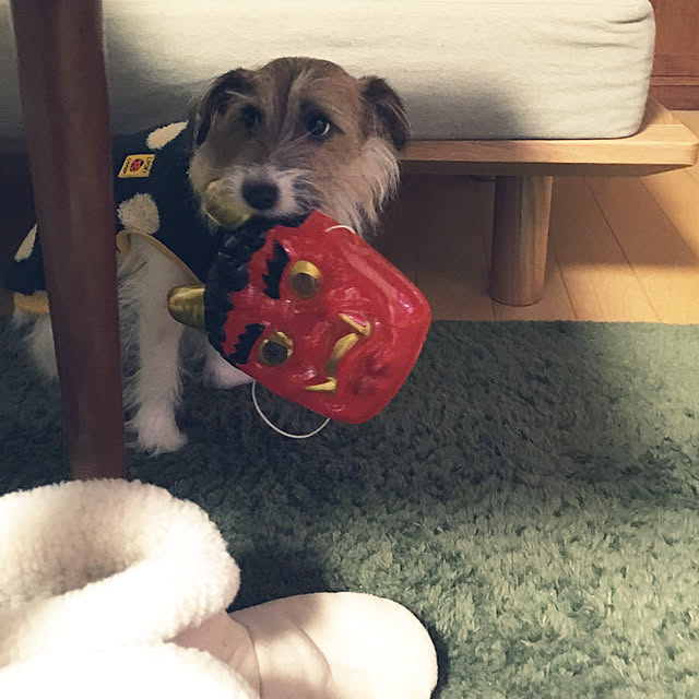 toto.ikさんの実例写真