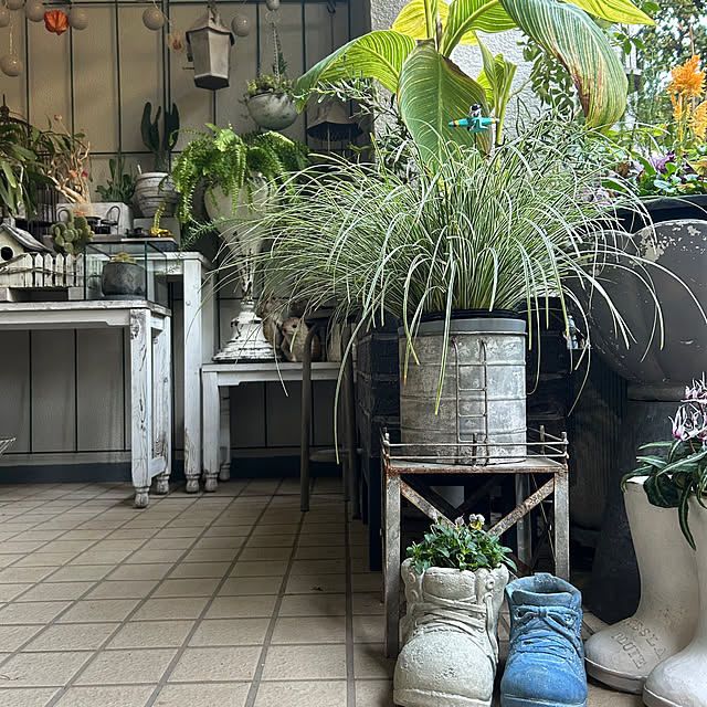 DAYONEさんの実例写真