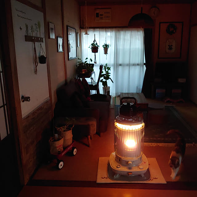 fukuさんの実例写真