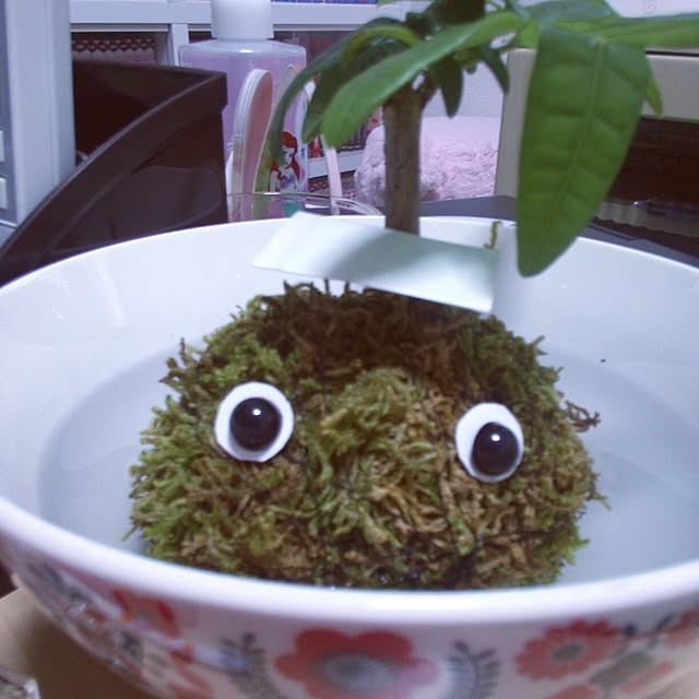 arikoさんの実例写真