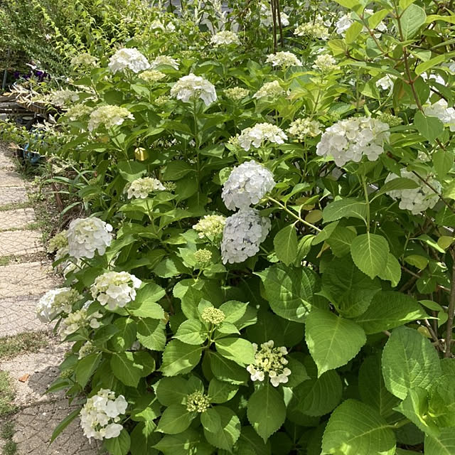 min_nimさんの実例写真