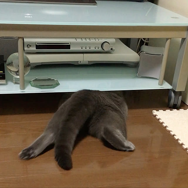 kittyさんの実例写真