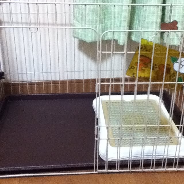 maiさんの実例写真