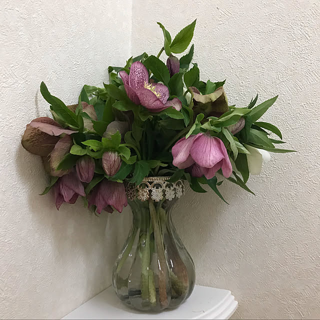 yukitamaさんの実例写真