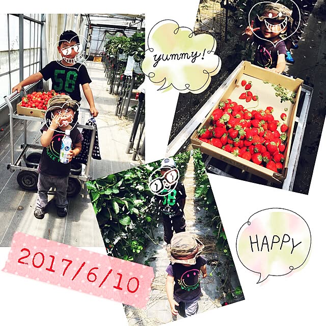 実例写真