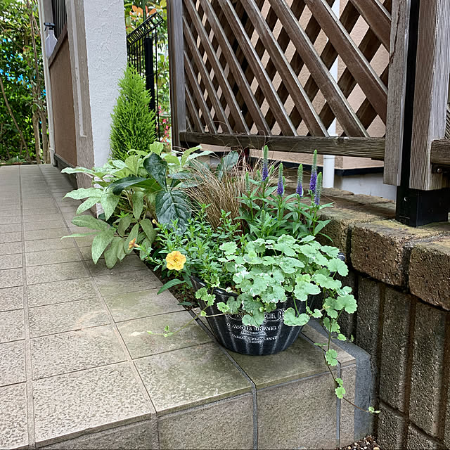 nicoさんの実例写真