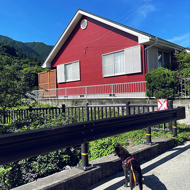 haruさんの実例写真