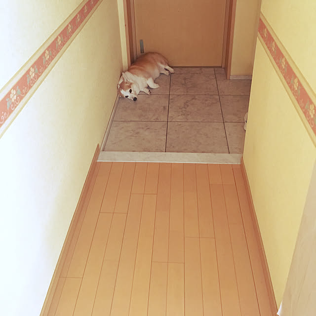 akoさんの実例写真