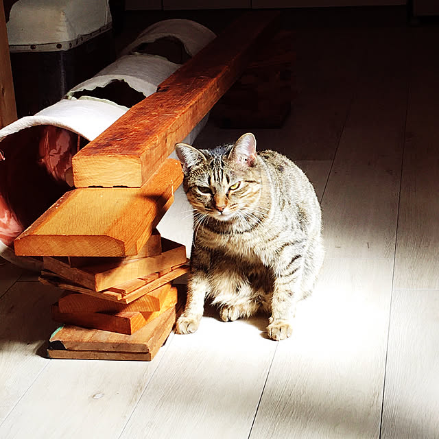 Mさんの実例写真