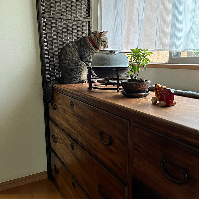 mikan161さんの実例写真