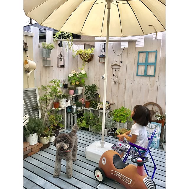 makoriさんの実例写真