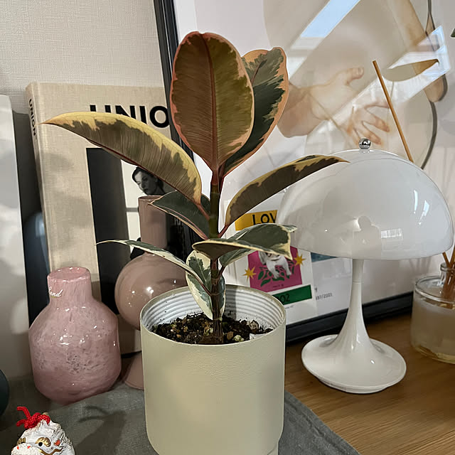 mitsuchanさんの実例写真