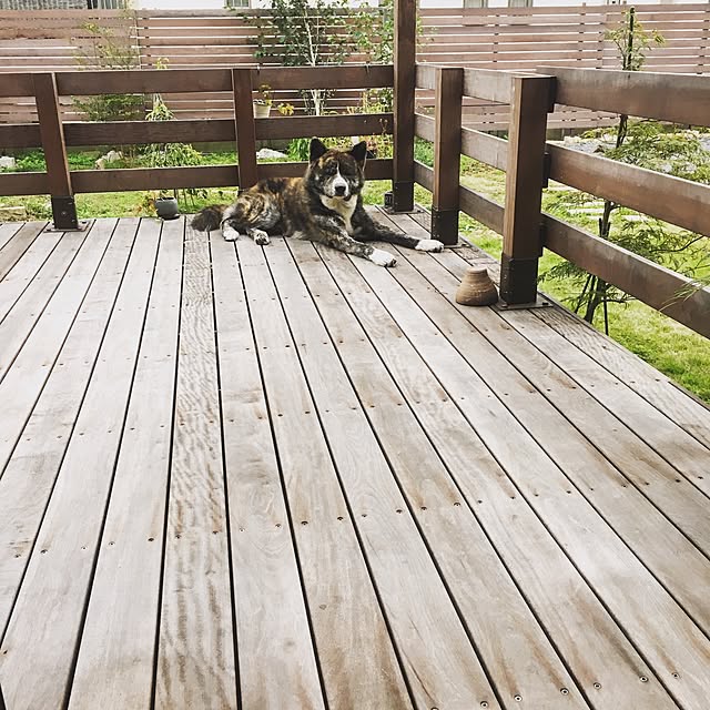 akiさんの実例写真