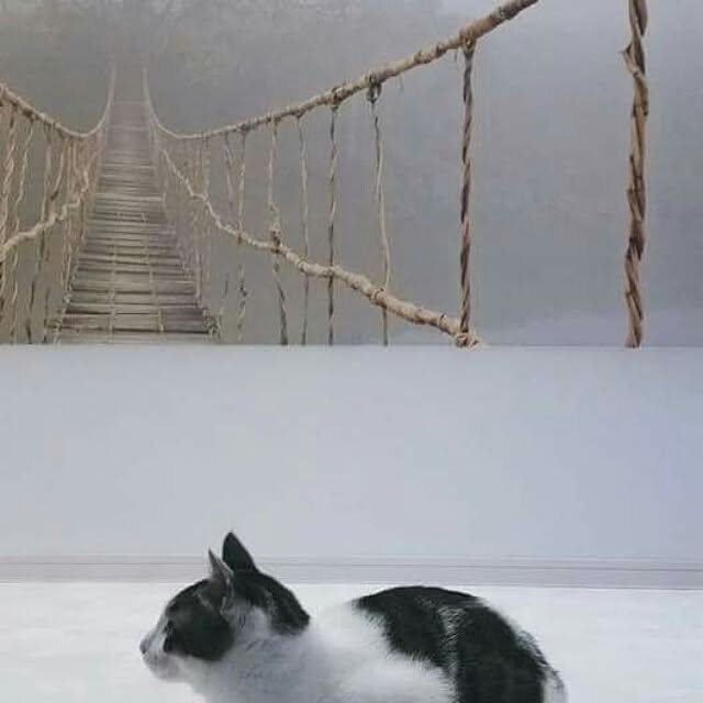 runayucoさんの実例写真