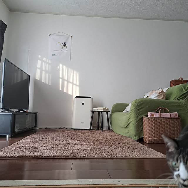 shinoさんの実例写真
