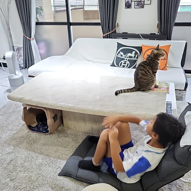 実例写真