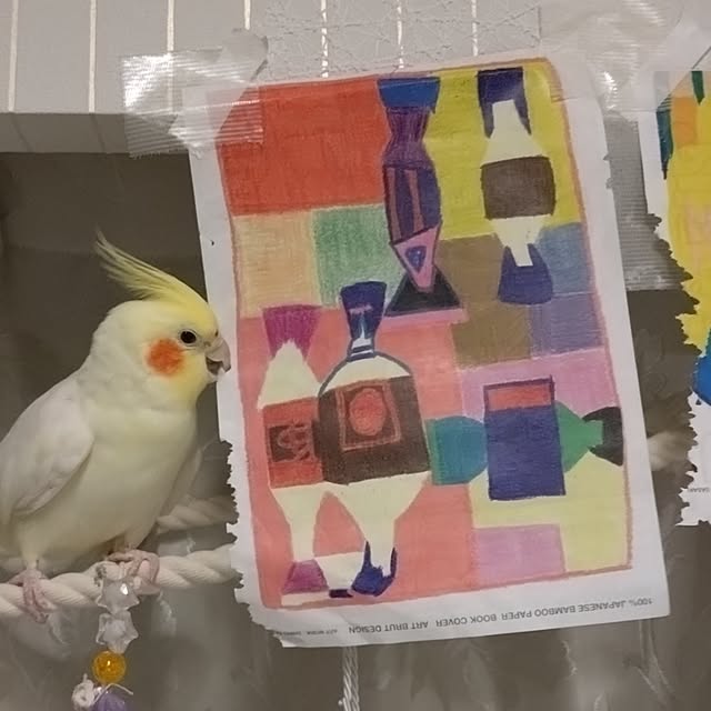 toratanさんの部屋