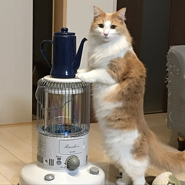 Makiさんの実例写真