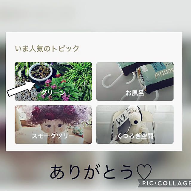 CoCo0617さんの実例写真