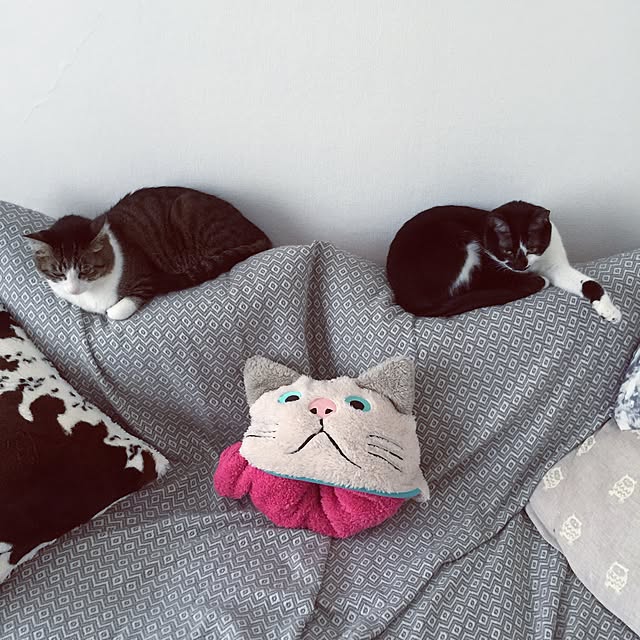 miruさんの実例写真