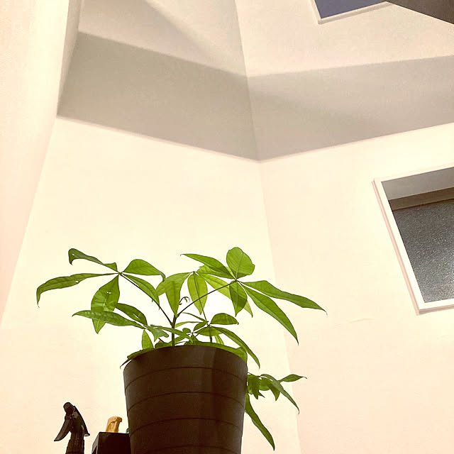 MOMOMAMAさんの部屋